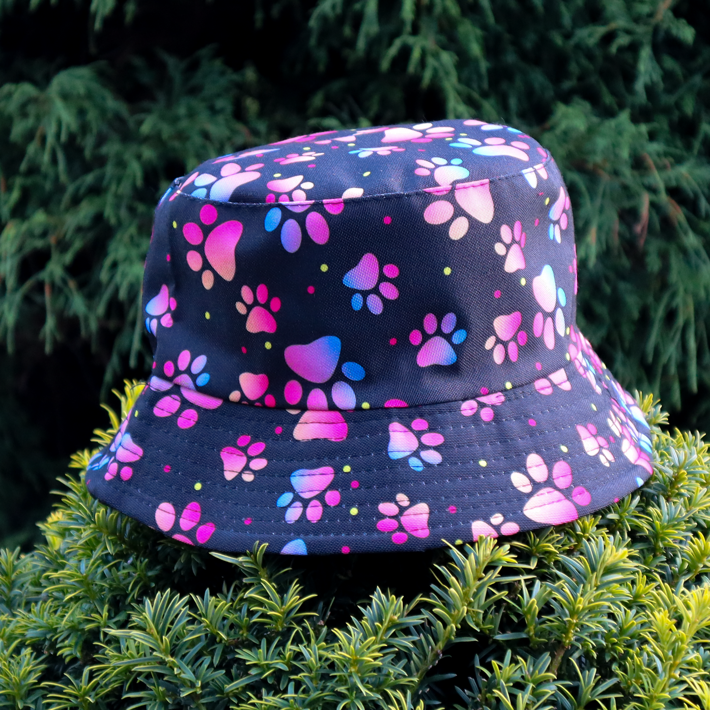 Man's Best Friend Colour Fade Bucket Hat